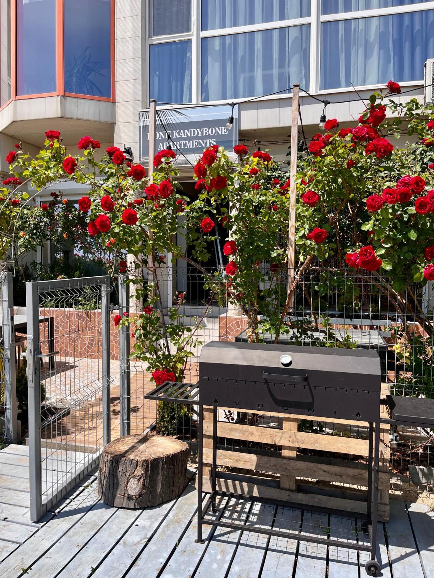 Done Kandybone Apartments Burlacha Balka Exterior foto